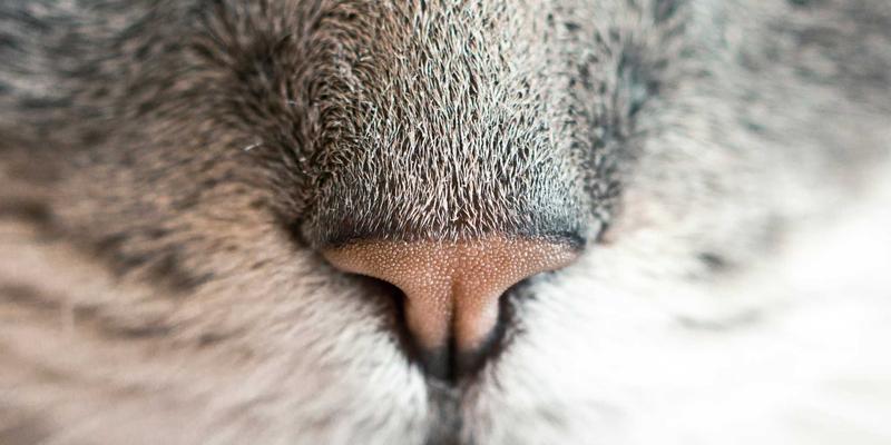 杭州萧山设计师工作站专业组装与色彩校准:不止于维修,更是创意生产力的战略投资